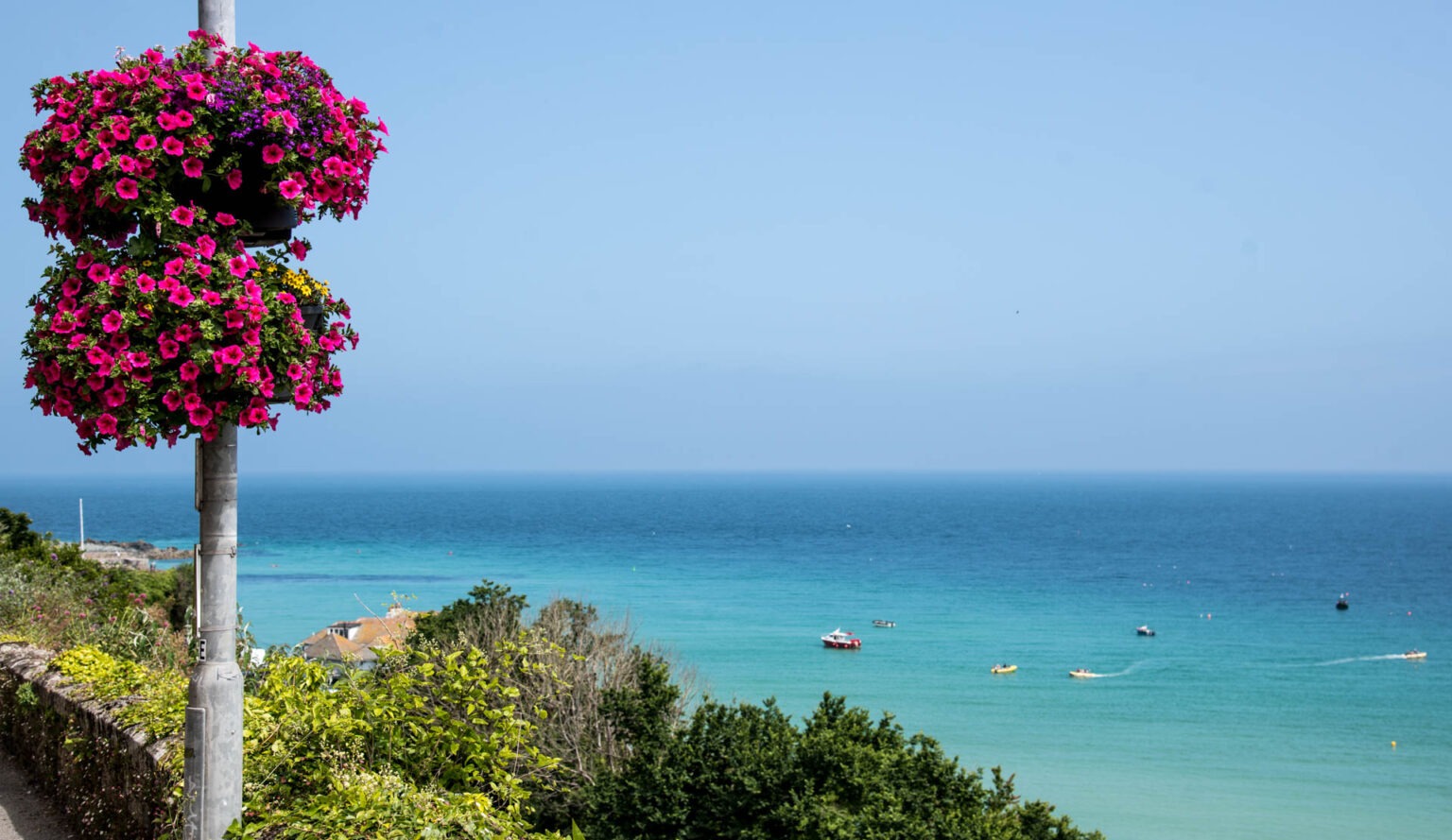 St Ives in Bloom Flowers 11